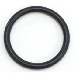 996-106-801-00 O Ring for Coolant Lines  