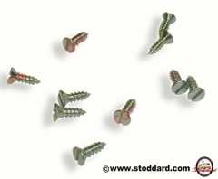 NLA-531-007-00 Stainless Furry Weatherstrip Screw Set for Coupe and Cabriolet